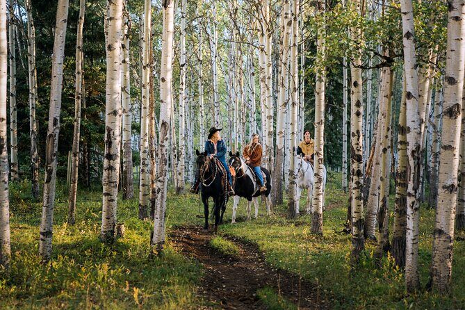Valley Vista 1.5 Hour Horseback Trail Ride in Kananaskis - Exploring the Trail: What to Expect