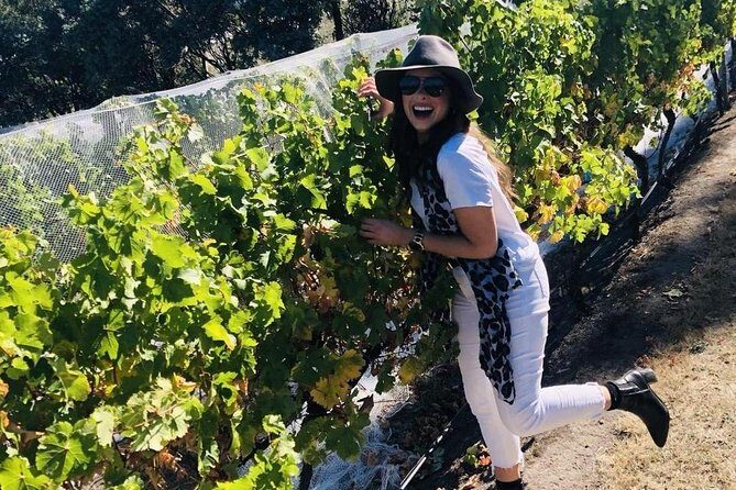 Valleys of Vino Full Day Tour - Final Thoughts