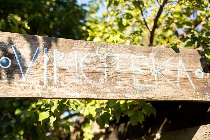 Valleyview Vines Tasting Experience - Final Thoughts