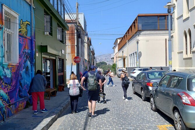 Valparaíso and Vina del Mar for Cruise Passengers in Private - Transition to Vina del Mar: Seaside Elegance