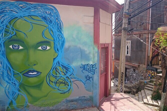 Valparaiso and Viña del Mar Full-Day Private Guided Tour - FAQs