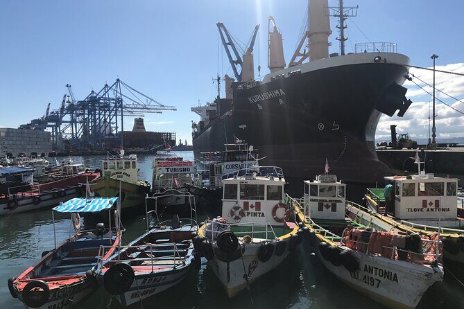 Valparaiso City Tour LGBT+ - Exploring Valparaiso and Viña del Mar: A Tour Tailored for Authenticity and Color