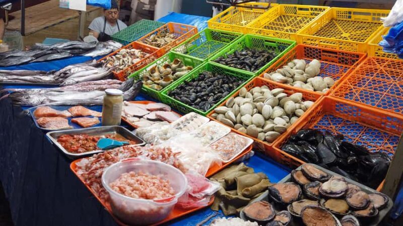 Valparaiso Port and Viña del Mar, Wine tasting in Casablanca - Exploring Chile’s Coast and Countryside: Valparaiso Port, Viña del Mar, and Casablanca Wine