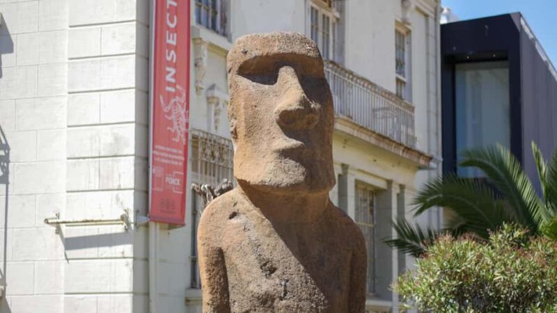 Valparaiso Port and Viña del Mar, Wine tasting in Casablanca - Who Will Love This Tour?