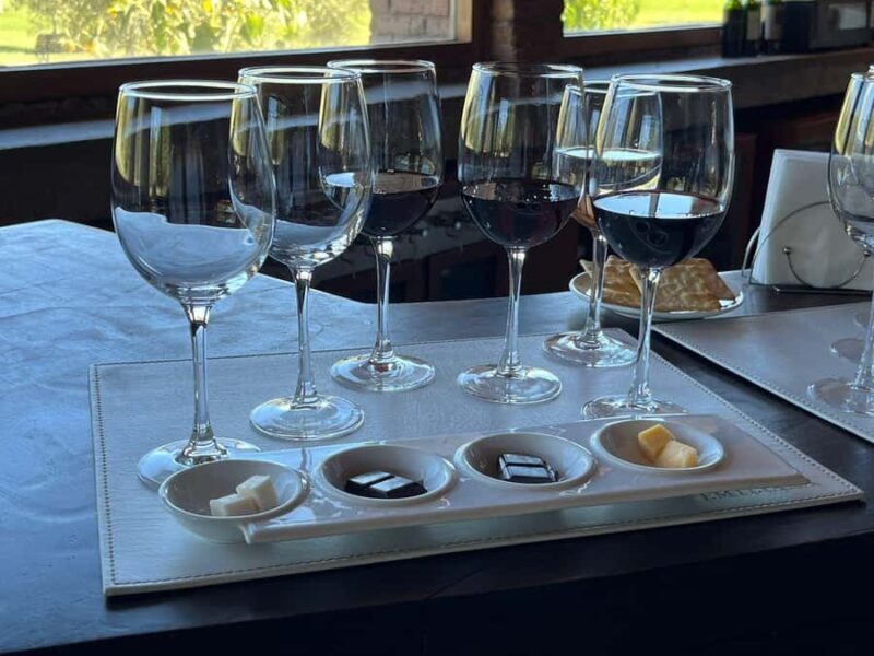 Valparaíso to Casablanca: wine tour with premium tasting and transportation - Key Points