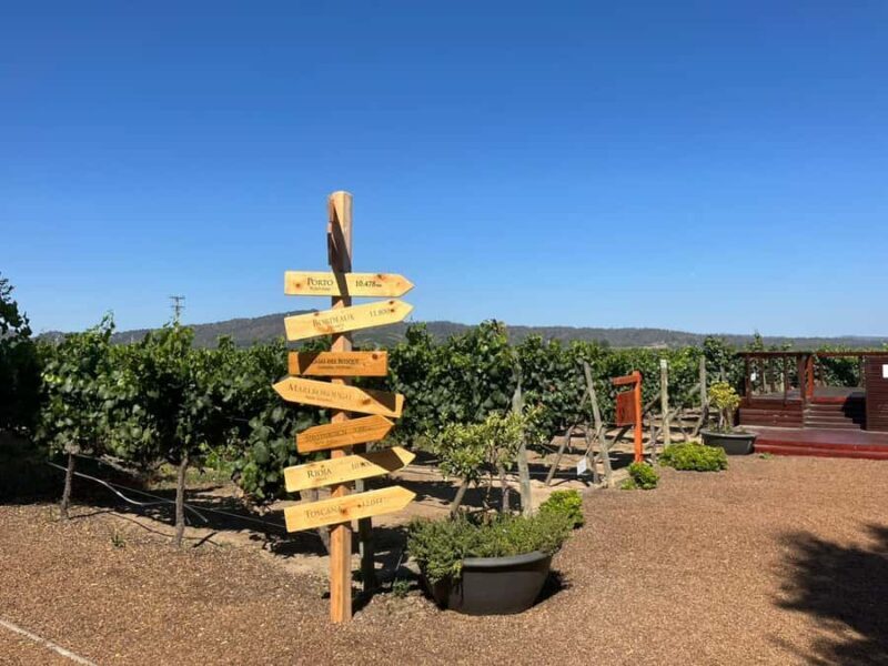 Valparaíso to Casablanca: wine tour with premium tasting and transportation - Why This Tour Works for Travelers