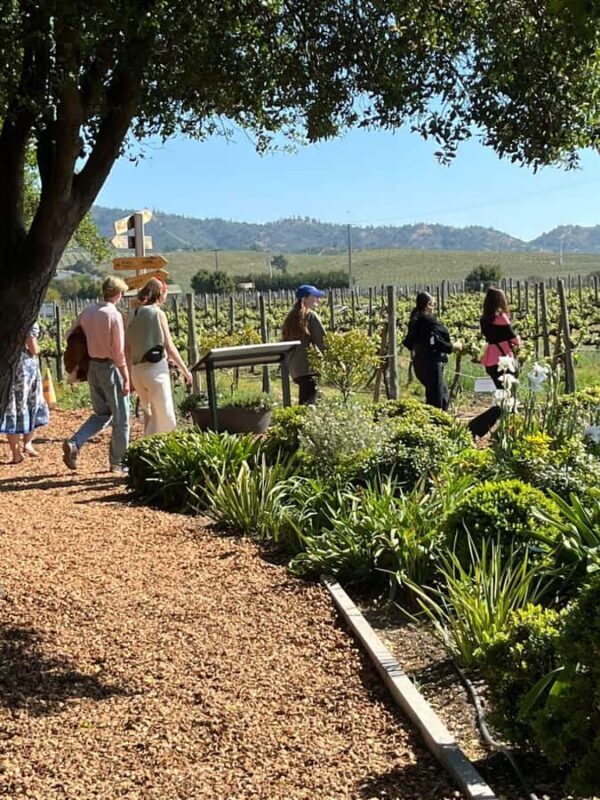 Valparaíso to Casablanca: wine tour with premium tasting and transportation - How the Itinerary Breaks Down