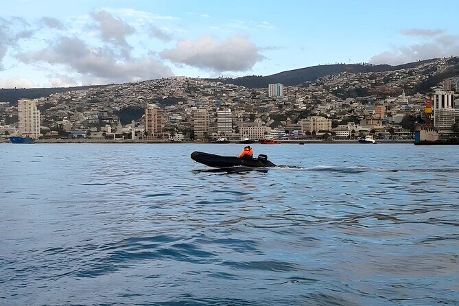 Valparaíso Viña & Casablanca Day Trip from Santiago (Max 7) - A Deep Dive into the Valparaíso, Viña del Mar & Casablanca Valley Tour