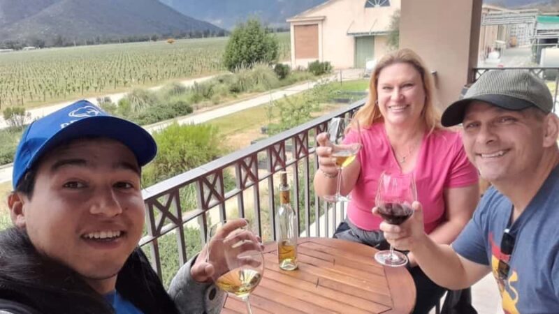 Valparaíso, Viña del Mar and Casablanca Full Day Experience - The Journey Through the Coastal Wonders and Vineyards