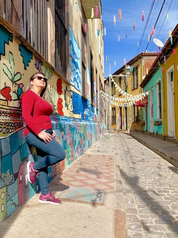 Valparaíso y Viña del Mar full day - The Sum Up: Is It Worth It?