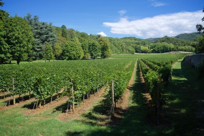 Valpolicella: Amarone Chateau Guided Tour and Wine Tasting - Why This Experience Works for Travelers