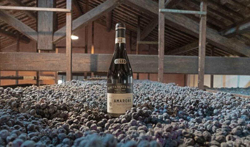 Valpolicella: Amarone Chateau Guided Tour and Wine Tasting - Final Thoughts