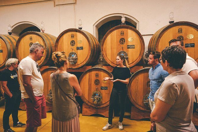 Valpolicella and Amarone Wine-tasting Tour from Verona - Exploring the Valpolicella and Amarone Wine Tour