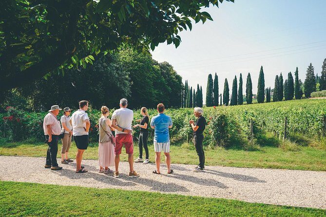 Valpolicella and Amarone Wine-tasting Tour from Verona - Practical Details and Considerations