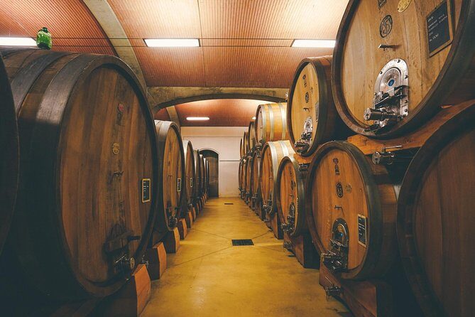 Valpolicella and Amarone Wine-tasting Tour from Verona - The Sum Up