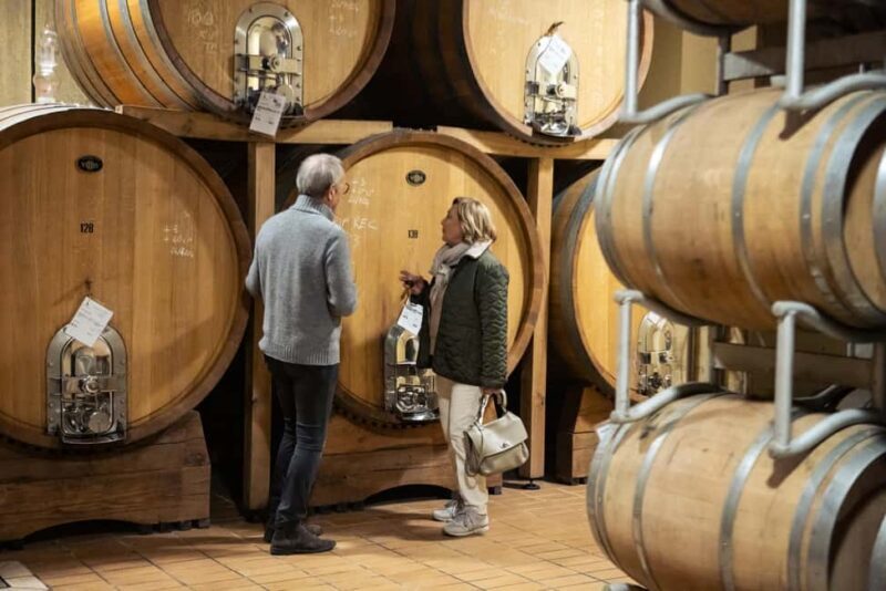 VALPOLICELLA: DISCOVER IT IN 5 GLASSES - Discover Valpolicella in 5 Glasses: A Quick Journey Through Veneto’s Famous Wine Region