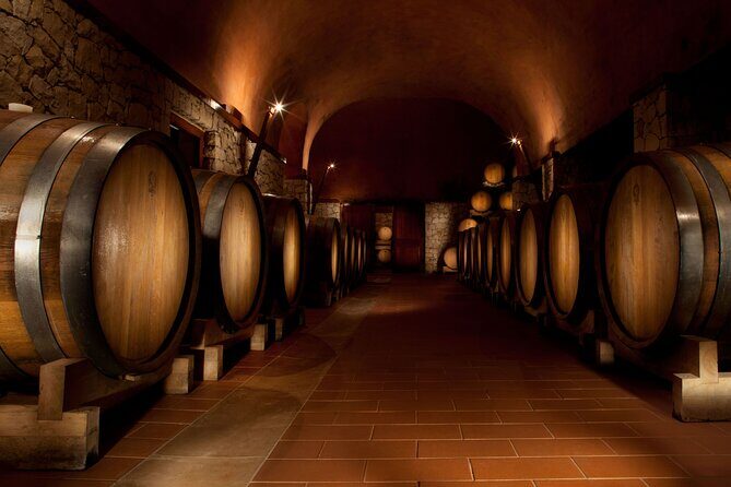 Valpolicella Lunch or Dinner Wine & Food tasting with Amarone - Exploring the Cellar & Touching the Wine Making Process