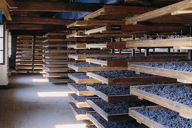 Valpolicella - The wine paradise - The Practicalities: What To Expect