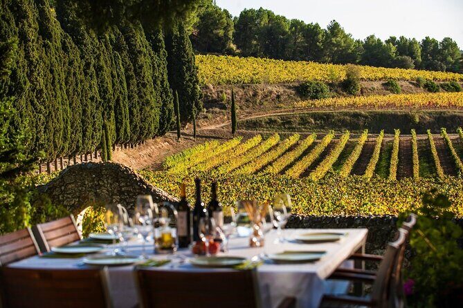 Valpolicella Wine and Olive Oil Tasting with Lunch from Verona - Who Will Love This Tour?