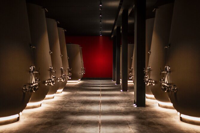 Valpolicella Wine Tasting Experience & Light Lunch - Discovering the Valpolicella Wine Tasting Experience & Light Lunch