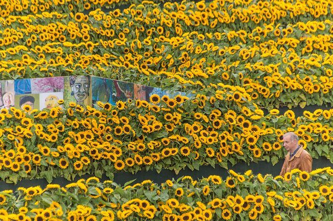 Van Gogh Museum Skip The Queue with Audio Guide - Final Thoughts