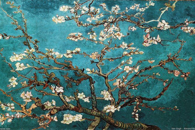 Van Gogh Museum Tour w/ Reserved Entry Semi-Private 8ppl Max - The Sum Up: Why Choose This Tour?