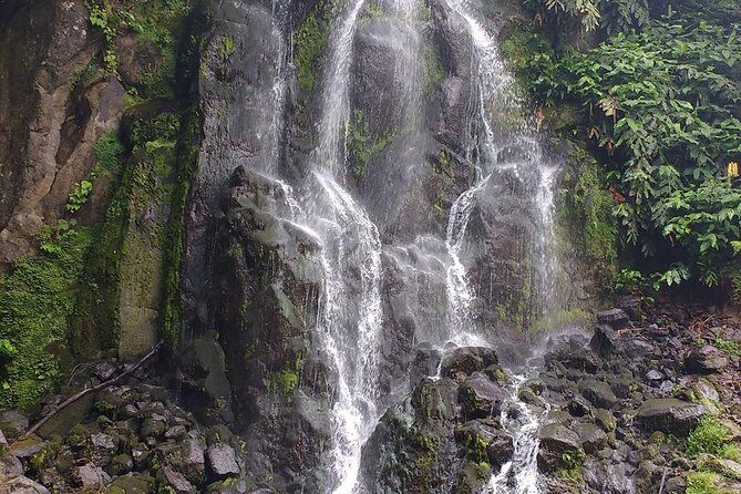 Van  Scenictour  Nordeste / Povoação  Full Day/ with lunch (Shared) - Final Thoughts: Who Is This Tour Best For?