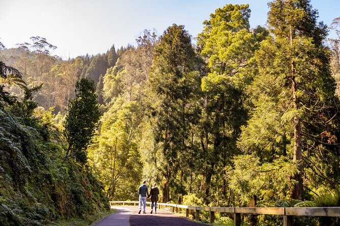 Van Tour Sete Cidades + Lagoa do Fogo Full-Day - FAQ