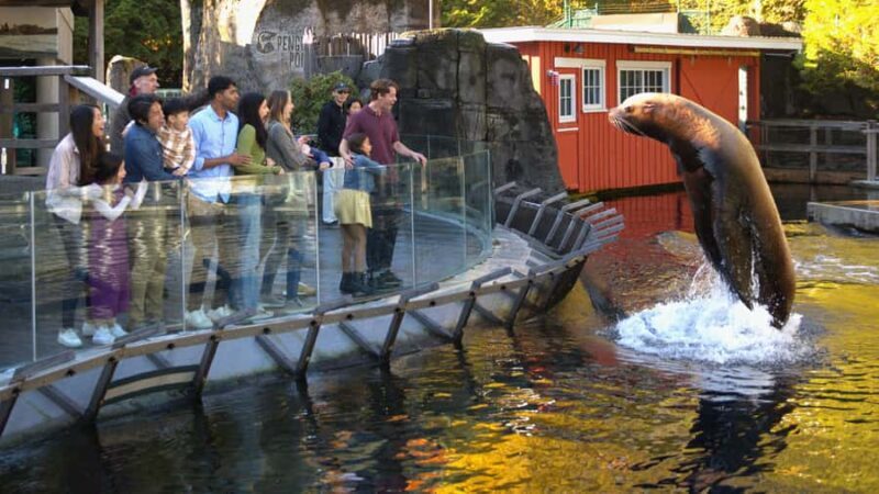 Vancouver Aquarium: Skip-the-Line Ticket - Exploring Vancouver Aquarium: An In-Depth Look