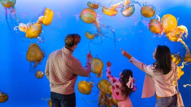 Vancouver Aquarium: Skip-the-Line Ticket - Who Should Visit?