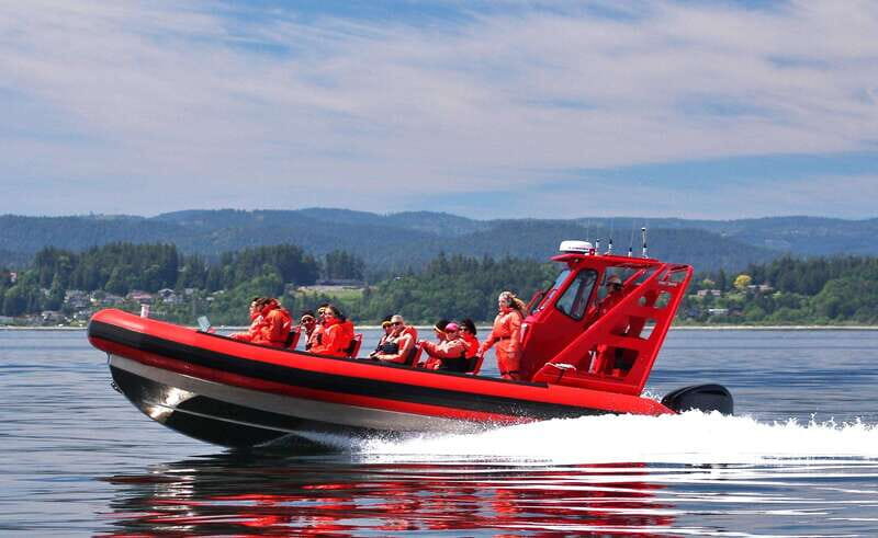 Vancouver, BC: Whale Watching Tour Small Zodiac with Guide - Vancouver, BC: Whale Watching Tour Small Zodiac with Guide