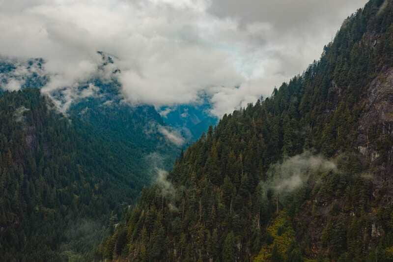 Vancouver: Beer Tasting Helicopter Tour with Hotel Pickup - The Bottom Line: Who Should Consider This Tour?