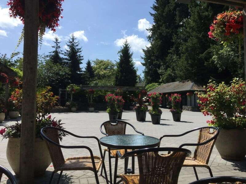 Vancouver: Butchart Gardens and Victoria City Tour - What to Expect from the Vancouver: Butchart Gardens & Victoria Tour