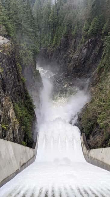 Vancouver: Capilano Bridge, Cleveland Dam & Lynn Canyon Tour - Final Thoughts