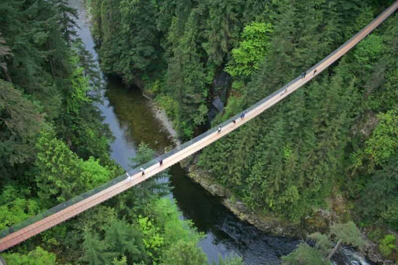 Vancouver: Capilano Bridge & Granville Island Highlights - Exploring the Tour: A Deep Dive into What You Can Expect