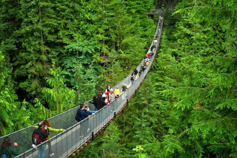 Vancouver: Capilano Bridge, Grouse Mountain & Aquabus Tour - Key Points