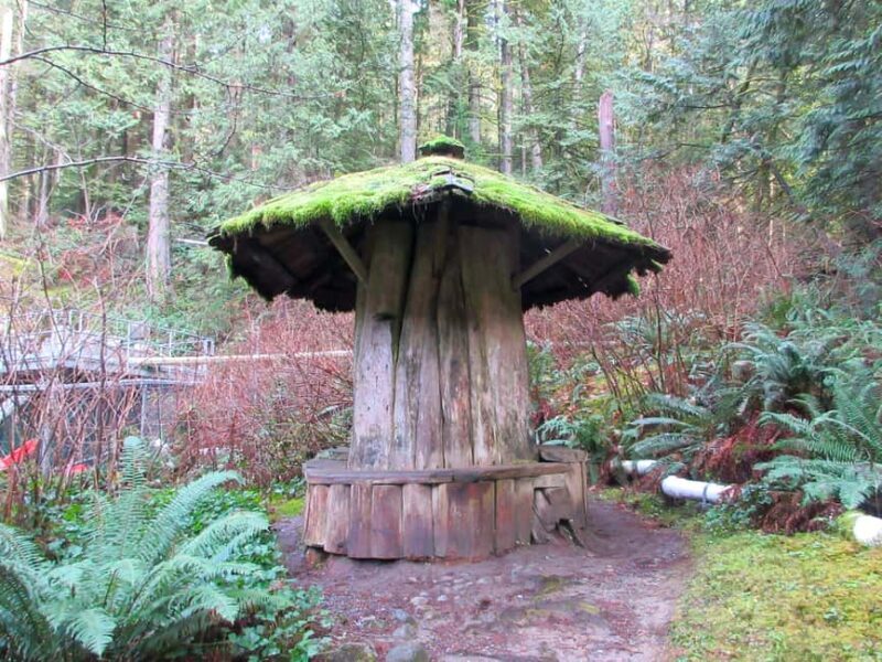 Vancouver: Capilano River Hatchery Love the Land Tour - An In-Depth Look at the Tour Experience