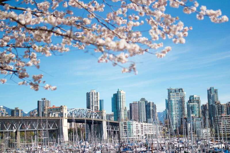 Vancouver: City & Granville Island Sightseeing Trolley Tour - An In-Depth Look at Your Vancouver Trolley Experience