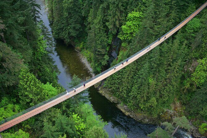 Vancouver City Sightseeing Tour: Capilano Suspension Bridge & Vancouver Lookout - Who Will Enjoy This Tour Most?