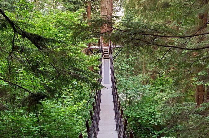 Vancouver City Tour: Capilano Bridge and Stanley Park - FAQ
