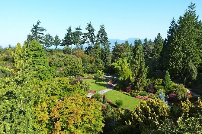 Vancouver City Tour with Admission to Lookout Tower - Who Should Book This Tour?