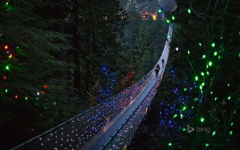 Vancouver: City Tour with Capilano Suspension Bridge - The Experience and Its Value