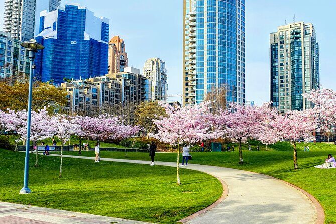 Vancouver City Tour with Cherry Blossom Festival Private - Why This Tour Works for Visitors