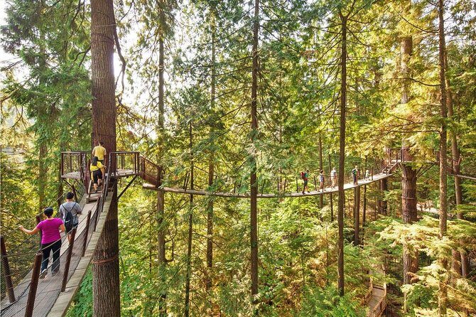 Vancouver City Tour With Stanley, Grouse Mountain & Capillano Suspension Private - FAQs