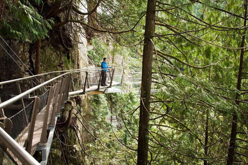 Vancouver: City+Lookout+Capilano Suspension Bridge Ticket - Key Points