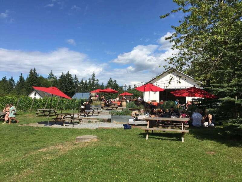 Vancouver: Fraser Valley Wine Tasting Tour - FAQ