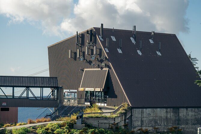 Vancouver Grouse Mountain and Granville Island Tour - Key Points