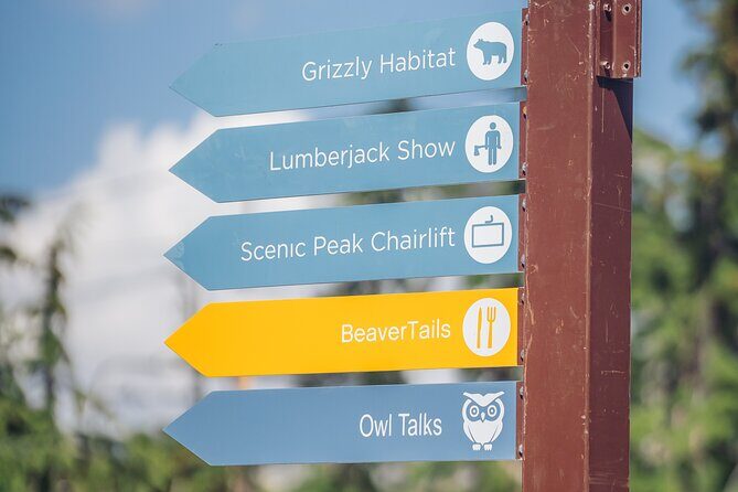 Vancouver Grouse Mountain and Granville Island Tour - Final Thoughts