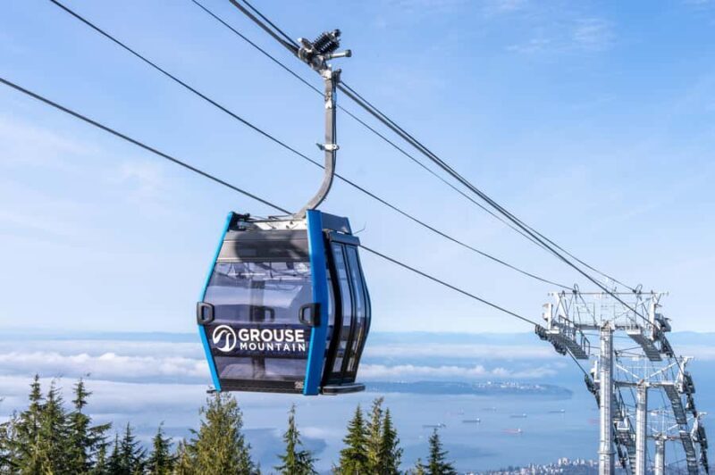Vancouver Grouse Mountain & Granville Island Tour - Why This Tour Offers Great Value