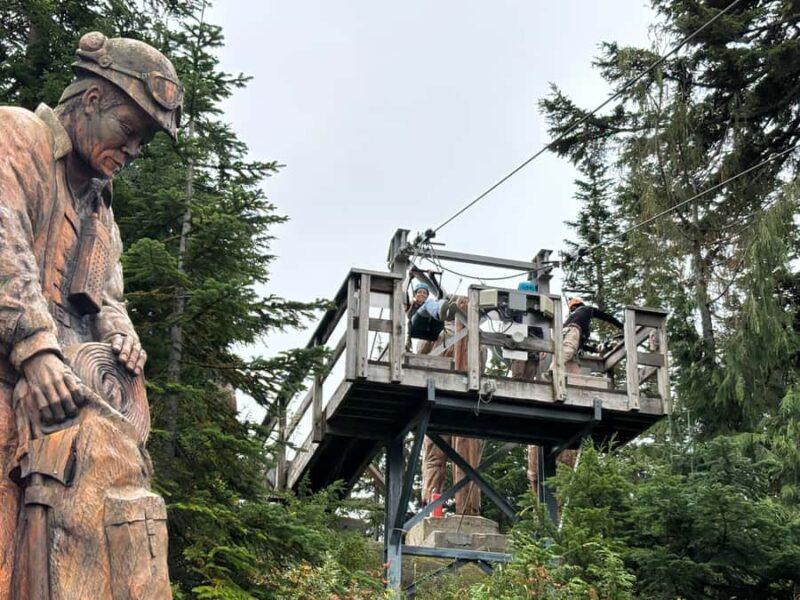 Vancouver Grouse Mountain & Granville Island Tour - FAQ
